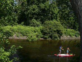 Paddlers kept cool on the Rideau River as Ottawa is hit with very warm temperatures.