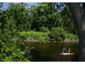 Paddlers keep cool on the Rideau River. Environmentally stressed, but resilient, the Rideau is an escape from the pace of urban life.