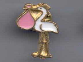 A file photo of a stork pin awarded to paramedics.