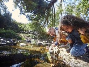 Small boy and girl looking at river with magnifier