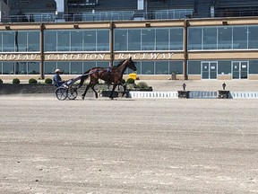 Harness racing, without spectators, was allowed to resume in Ontario starting Friday, June 11.