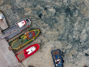 This aerial photograph taken on May 30, 2021 shows mucilage, a thick, viscous fluid produced by phytoplankton, in Turkey's Marmara Sea at a harbor on the shoreline of Istanbul.