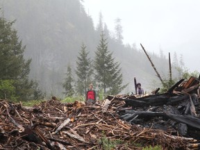 Protesters stand on debris of a cutblock as RCMP officers arrest those manning the Waterfall camp blockade against old growth timber logging in the Fairy Creek area of Vancouver Island, near Port Renfrew, British Columbia.