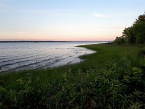 The Ottawa River flows through many different environments on its 1,300-km journey, including this grassy area in a residential area of Pembroke, Ont.