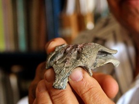 Paleontologist Fernando Novas holds the fossil skull of the Burkesuchus mallingrandensis, which could shed light on the origin of modern crocodiles, in Buenos Aires, Argentina March 9, 2021.