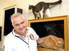 A file photo shows Bruce Roney, president of the Ottawa Humane Society, with cats in need of adoption.