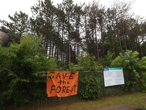 People don't want to lose parts of this forest beside Otto's BMW at 660 Hunt Club Rd.