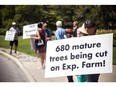 About 100 people gathered earlier this summer by Dow's Lake to protest the land transfer for The Civic hospital project and the trees that will be lost. 



ASHLEY FRASER, POSTMEDIA