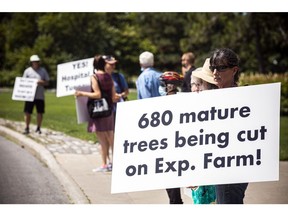 People gathered earlier this summer by Dow's Lake to protest the land transfer for The Civic hospital project and the mature trees that will be lost.