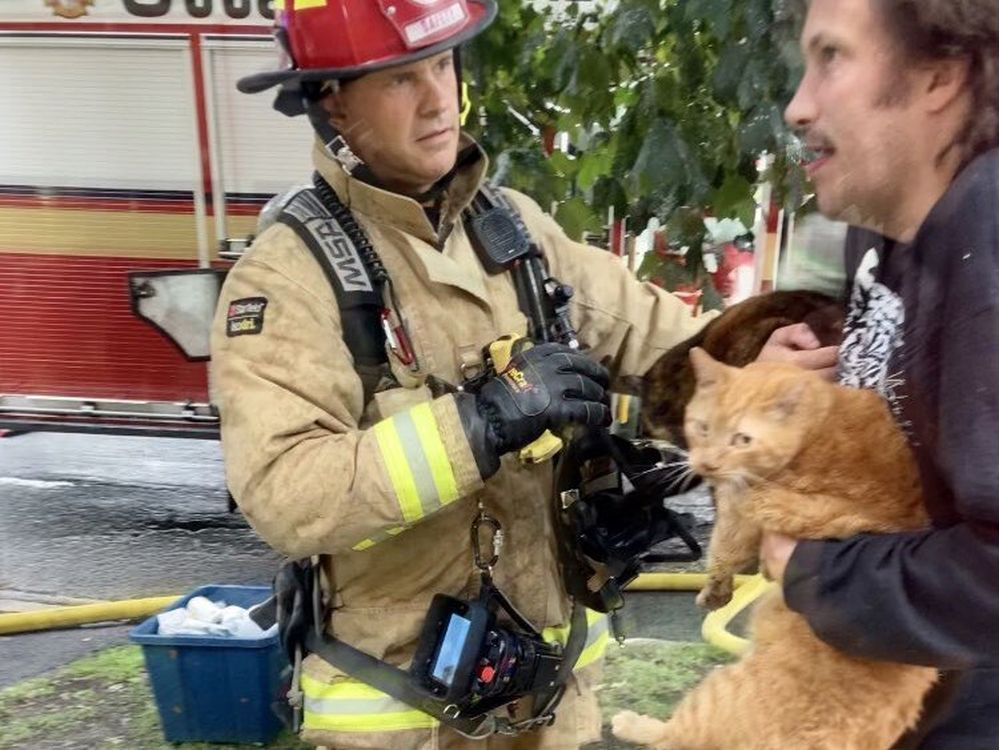 Cats rescued as firefighters battle basement fire in Hintonburg ...