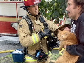 One of two rescued cats from a smoky basement fire Thursday morning on on Irving Avenue. Ottawa Fire Services