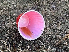 An abandoned red cup lies on a lawn on Johnson Street in the University district in Kingston on Friday September 3 2021.