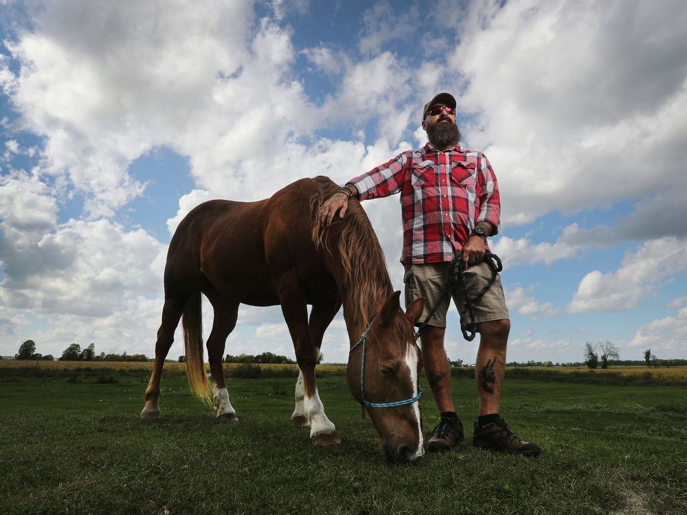 Braeside Equestrian Centre