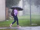 A rain storm could bring 50 mm od precipitation to Ottawa and area Saturday. File photo