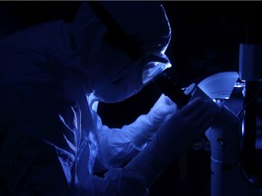 A manufacturing associate looks at a sample in the biotherapeutics lab's virus manufacturing centre at the The Ottawa Hospital.