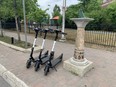 Bird e-scooters are seen on Preston Street during the first year of the pilot project.