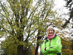 There is no way to address inequalities in the tree canopy of various areas across the city, says Joan Freeman, a retired environmental management consultant and a board member with Community Associations for Environmental Sustainability.
