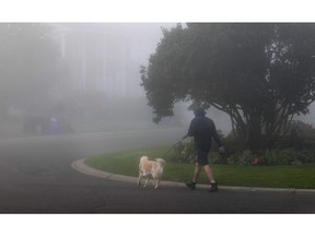 A foggy start to the day as a man is seen walking his dog in Nepean.