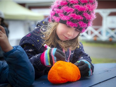 The Tagwàgi Festival, the first in a series of four seasonal events that will take place at Mādahòkì (to share the land) Farm, the National Capital Region's new Indigenous attraction and gathering place, was held Sunday, Oct. 17, 2021. Five-year-old Orlaith Galagher writes on her reconciliation rock that was then placed along a special legacy trail.