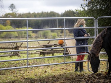 The Tagwàgi Festival, the first in a series of four seasonal events that will take place at Mādahòkì (to share the land) Farm, the National Capital Region's new Indigenous attraction and gathering place, was held Sunday, Oct. 17, 2021. Rare and endangered Ojibwe Spirit Horses are a special attraction at the farm.