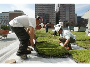 In this file photo, workers install a green roof on a downtown Ottawa building. The environmental benefits are obvious, says one reader.