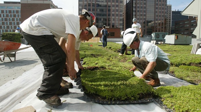 Today's letters: Green roofs; helping seniors; the federal cabinet