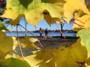 File: Last of the leaves? A couple walks their dogs at Britannia Bay/