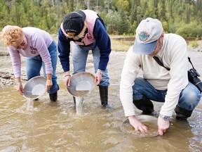 Panning for gold is one way to find it, but modern placer mines operate on a much larger scale.