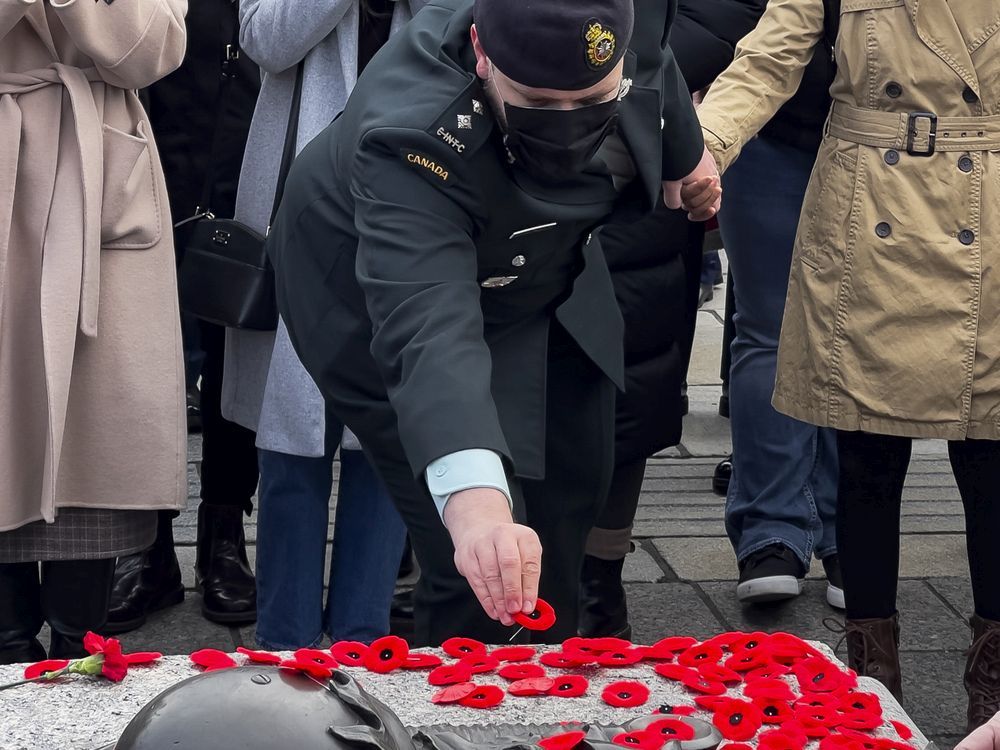 Remembrance day and poppy