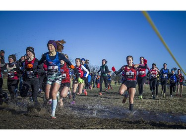 The under-20 women's competitors run through one of the large mud puddles on the six-kilometre route during the Canadian Cross-Country Championships at Wesley Clover Parks in Nepean on Saturday.