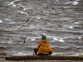 It's only going to get colder: Sitting  amongst a flock of seagulls at sunset on Westboro Beach. Monday, Nov. 22, 2021 --