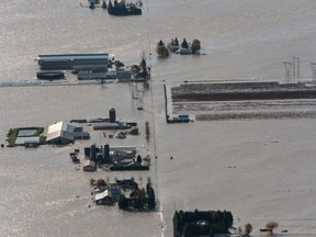 Flooded houses and farms are seen from the top of Sumas Mountain after rainstorms caused flooding and landslides in Abbotsford, British Columbia, November 17, 2021.