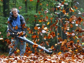 Gas-powered leaf blowers are among the kinds of equipment being targeted by the new NCC mandate, effective in 2023.