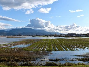 Farms are seen under flood water after rainstorms caused flooding and landslides in Abbotsford, British Columbia, Canada November 16, 2021. REUTERS/Jennifer Gauthier