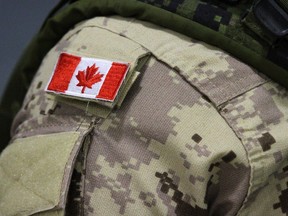 Over the past 11 months, the Canadian military has been rocked with allegations of sexual misconduct against a growing number of senior leaders. Some police investigations are still ongoing.