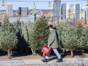 People wear face masks as they walk by rows of Christmas trees at a market in Montreal, Sunday, November 28, 2021, as the COVID-19 pandemic continues in Canada and around the world.