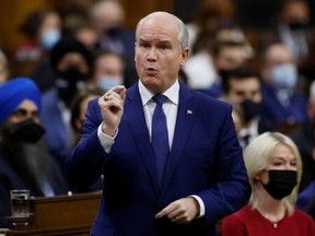 Canada's Conservative Party leader Erin O'Toole speaks during Question Period in the House of Commons in Ottawa, Ontario, Canada November 24, 2021.