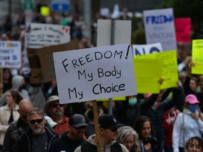 Hundreds of people attended the 'World Wide Rally for Freedom' outside the Alberta Legislature.