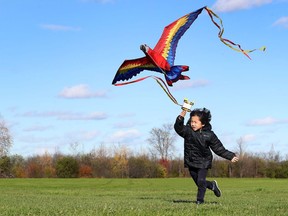 Thomas enjoyed flying his kite on a windy fall day at Lynda Lane Park in Ottawa Monday.