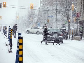 Motor vehicles, pedestrians and dogs  made their way along O'Connor Street as a blanket of snow fell Saturday.