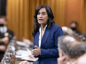 Defence Minister Anita Anand speaks in the House of Commons on December 13, 2021.