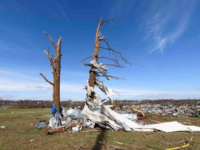 TOPSHOT - Debris is wrapped around danaged trees as emergency workers search through what is left of the Mayfield Consumer Products Candle Factory after it was destroyed by a tornado in Mayfield, Kentucky, on December 11, 2021. -