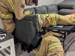 Firefighter work to save a kitten trapped in a pullout sofa in in Manotick Thursday morning.