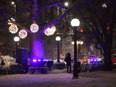 Lights at Confederation Park, near Elgin Street.