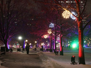 Lights near Confederation Park and Elgin Street.