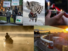 Ottawa Citizen photographers top picks from the year 2021. (From top left) Ashley Fraser, Tony Caldwell, Jean Levac, Errol McGihon, Julie Oliver.