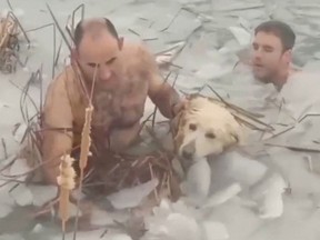 Spanish police rescue a dog from a frozen reservoir in the municipality of Canfranc in Spain, in this still image taken from a handout video obtained by Reuters on December 8, 2021.