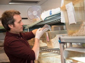 University of Ottawa researcher Matthew Pamenter runs a lab that plays host to seven naked mole rat colonies. Pamenter studies how the rodents adapt to low-oxygen environments, and why they can survive for up to 18 minutes with no oxygen at all.