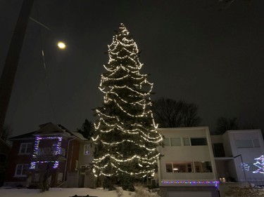 Giant Xmas tree on Clarendon Avenue.