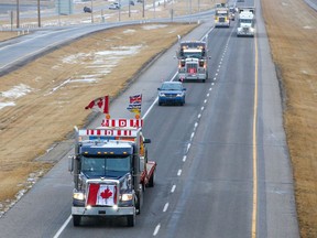 Trucks in the "freedom convoy" of truckers head east on the Trans-Canada Highway east of Calgary on January 24, 2022. The truckers are driving across Canada to Ottawa to protest the federal government's COVID-19 vaccine mandate for cross-border truckers.